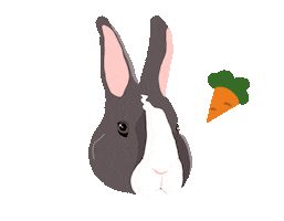 Pet Sticker by Watertown Humane Society