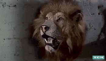 200.gif?cid=fc005b08d67e8fc46bb696c0844ebbfe1876135b80830a0d&rid=200.gif&ct=g