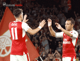 premier league love GIF by Arsenal