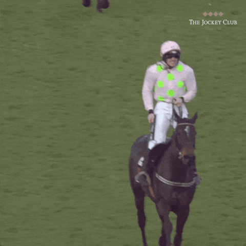 Gif Image Most Wanted Horse Racing Gif