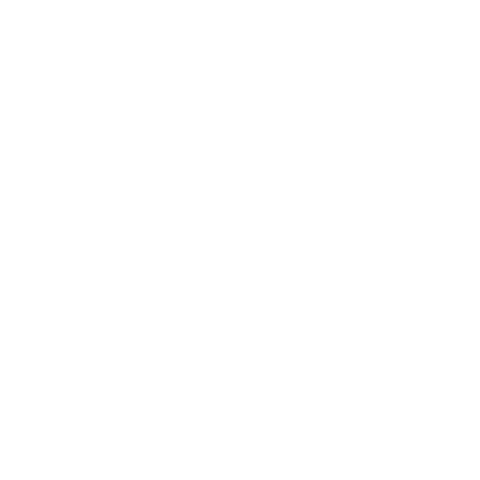 Evo Move Sticker