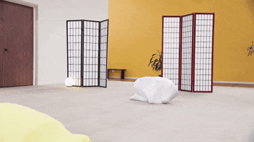 200.gif?cid=fc005b0855d60f9159c76d731c1465f35e353b48380e3909&rid=200.gif&ct=g