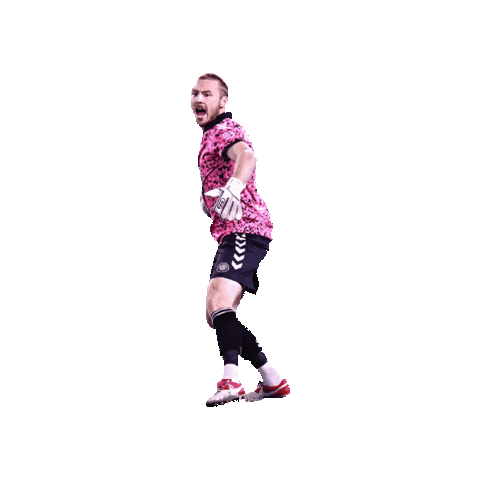NISA Soccer Sticker