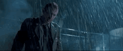 Oh No Film GIF