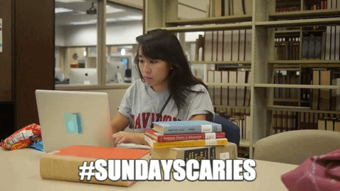 library study GIF by Davidson College