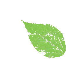 Weed Cannabis Sticker by UpNorth