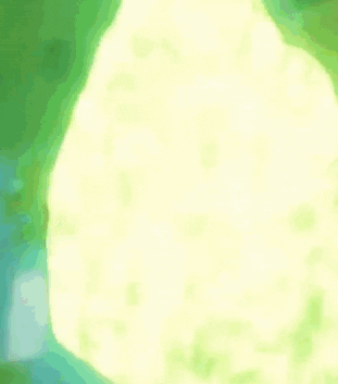 Metapod GIF