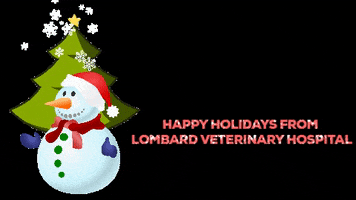 LombardVet GIF