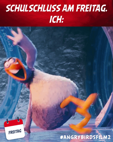 Happy Angry Birds GIF by Sony Pictures Entertainment Deutschland