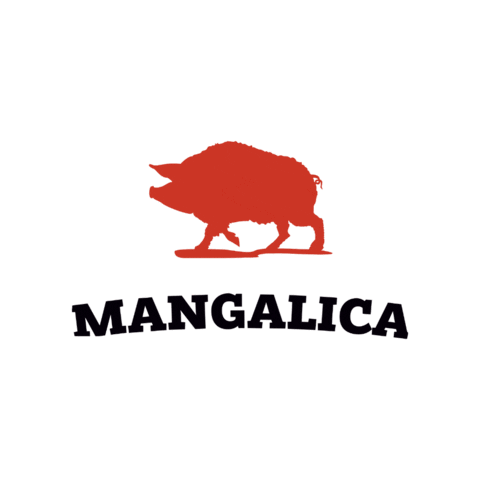mangalica Sticker