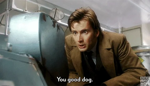 Doctor Who Dog GIF by BBC America