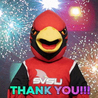Fireworks Thank You GIF by Saginaw Valley State University
