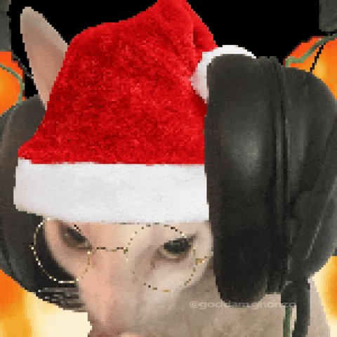 Cat Christmas GIF