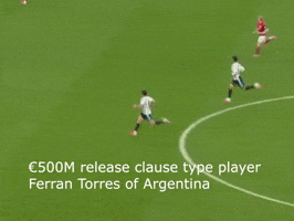 World Cup Argentina GIF