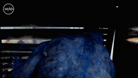 Break It Down Gifs Get The Best Gif On Giphy Break It Down Gifs Get The Best Gif On Giphy