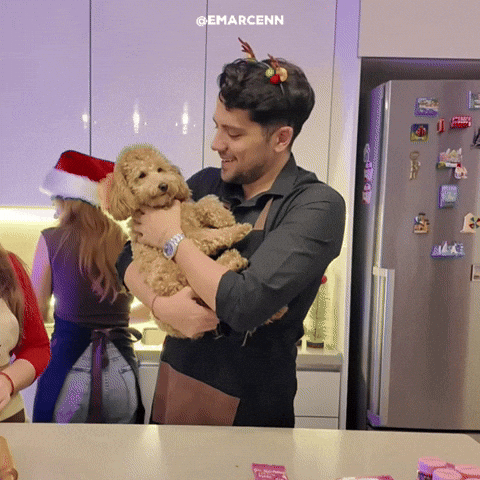 Dog GIF