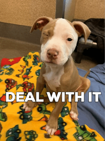 Puppy Deal With It GIF by Peninsula Humane Society & SPCA