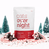 Food Christmas GIF by oatsovernight