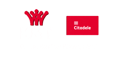 Karaliaus Mindaugo Taure Kmt Sticker by Lietuvos krepšinio lyga