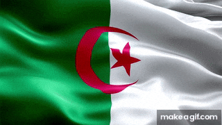 Flag Algeria GIF