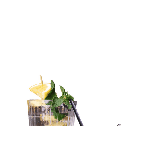 Dis Noordkade Sticker