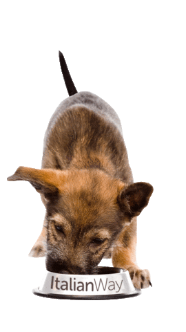ItalianWay Pet Sticker