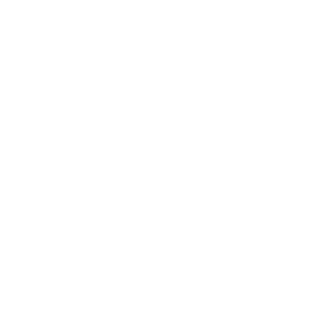 Wave Flag Sticker by Fortius Republic