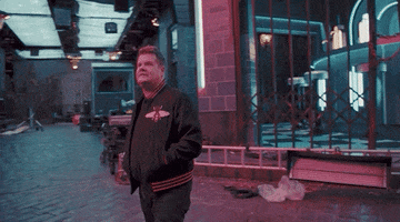 james corden cats GIF by Vulture.com