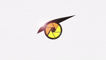 Birdseyevr GIF