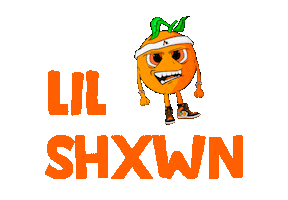 Lil Shxwn Sticker