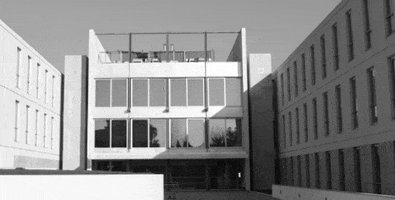 AEDUM - Associação de Estudantes de Direito da Universidade do Minho GIF