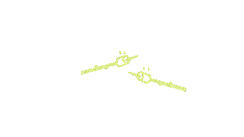 Norsk Friluftsliv Sticker