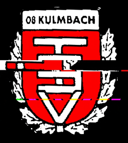 Katzbachtal GIF by TSV 08 Kulmbach
