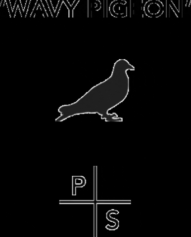 petersonstoop GIF