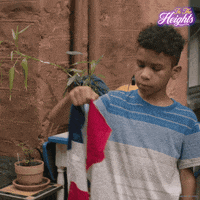 Flag Take It GIF by In The Heights Movie