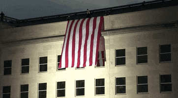American Flag GIF by GIPHY News