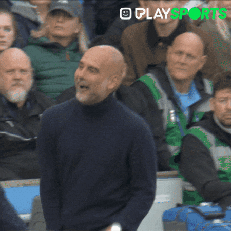 Premier League Football GIF by Play Sports
