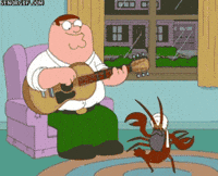Lobster GIFs - Get the best GIF on GIPHY