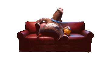 Sleepy Dog Sticker by DWS_Deutschland