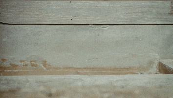 Movie gif. John C. Reilly peeks out from what appears to be a baseball dugout, and looks confused by what he's seeing.