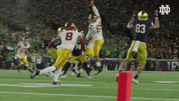 Notre Dame Catch GIF by Notre Dame Fighting Irish
