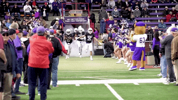 Football Wildcats GIF by Linfield College