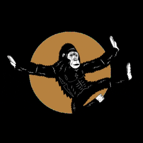 Kung Fu Mma GIF by Wise Ape Tea
