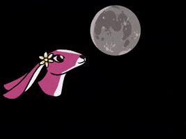 Moon Pink Bunny GIF by Wendy Gallagher