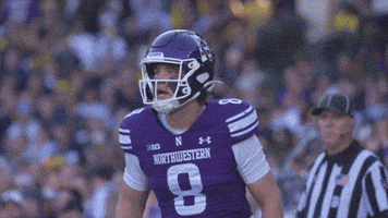 Big Ten Michigan GIF by Northwestern Athletics