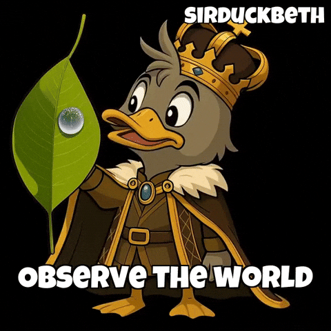 Morning Glow GIF by SirDuckbeth