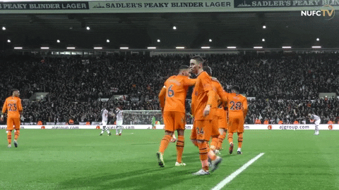 Newcastle United Fusion GIF by Newcastle United Football Club - Find
