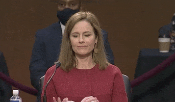 Senate Judiciary Committee Notepad GIF by GIPHY News