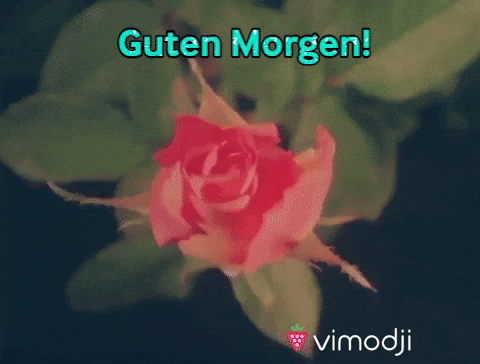 Guten GIF by Vimodji Find & Share on GIPHY