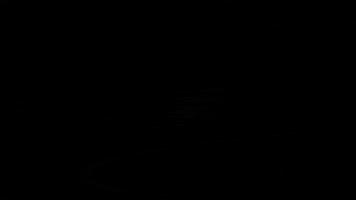 Brinfer GIF